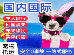 兰旗航空空运国际宠物托运 【国